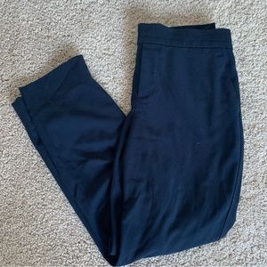 Banana Republic Factory Size 2P Navy Hayden Pants